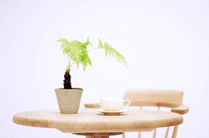 立川ショールーム｜タカラスタンダードの最新設備と魅力的な展示が充実した店舗案内