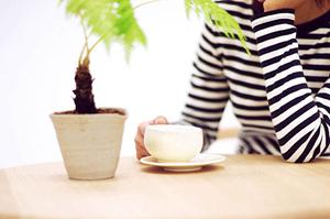 ペルシャ絨毯の魅力と選び方ガイド：高品質な絨毯でインテリアを格上げする方法