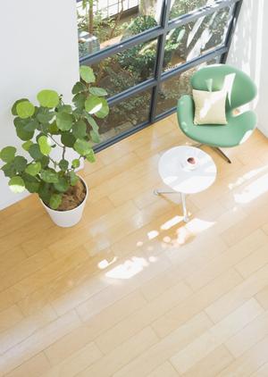 青山で見つける！デザイン性と安全性を兼ね備えた家族向け家具の選び方ガイド