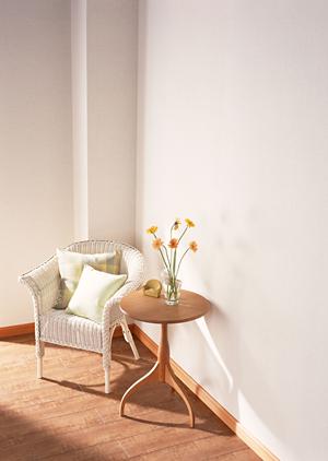 世界トップブランドのシーリングファン